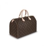 Louis Vuitton Speedy 35 M41107