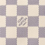 Louis Vuitton Mini Pochette Accessoires N58010