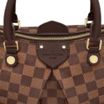 Louis Vuitton Siena MM N41546