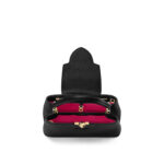 Louis vuitton M42259 Capucines MM