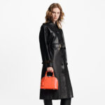 Louis Vuitton Minnesota Orange M22186 Alma BB