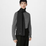 Louis Vuitton Anthracite M77988 Néo Petit Damier Scarf
