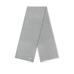 Louis Vuitton Light Grey M77989 Néo Petit Damier Scarf