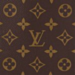 Louis Vuitton Christopher MM M46814 Orange