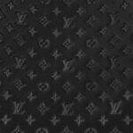 Louis Vuitton M22598 Calfskin Black Néonoé BB