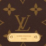 Louis Vuitton Wallet On Chain Lily M82509