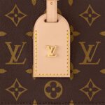 Louis Vuitton M47117 Around Me PM Monogram